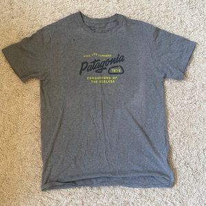 Large Patagonia Responsibili-tee